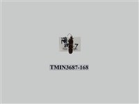 藏品(半翅目(3))的圖片